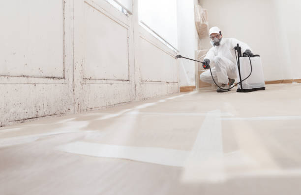 24/7 Emergency Mold Removal experts in Courtland, VA